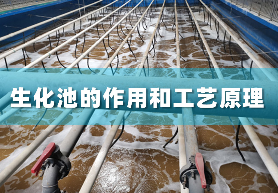 污水处理设备中的生化池的作用和工艺原理